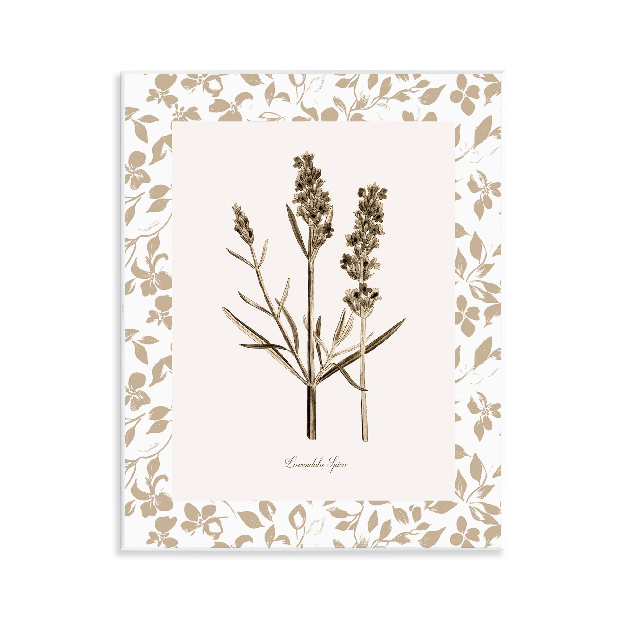 Stupell Industries Neutral Imperial Herb Study Wall Plaque Art, design by Kelly Donovan