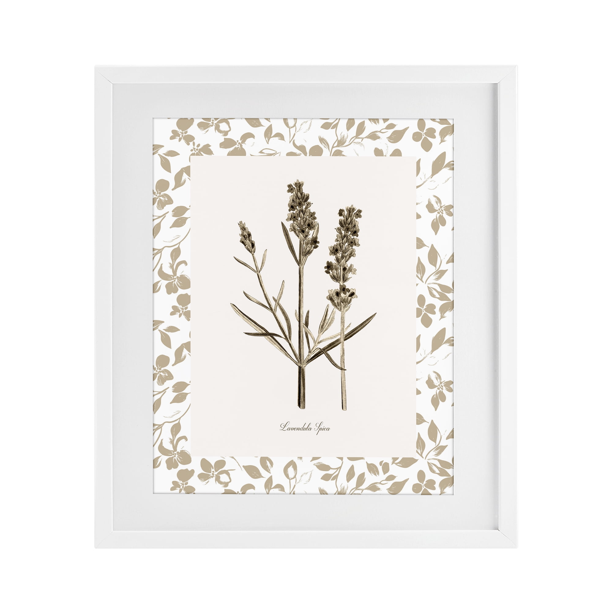 Stupell Industries Neutral Imperial Herb Study White Framed Print Under Glass, design by Kelly Donovan