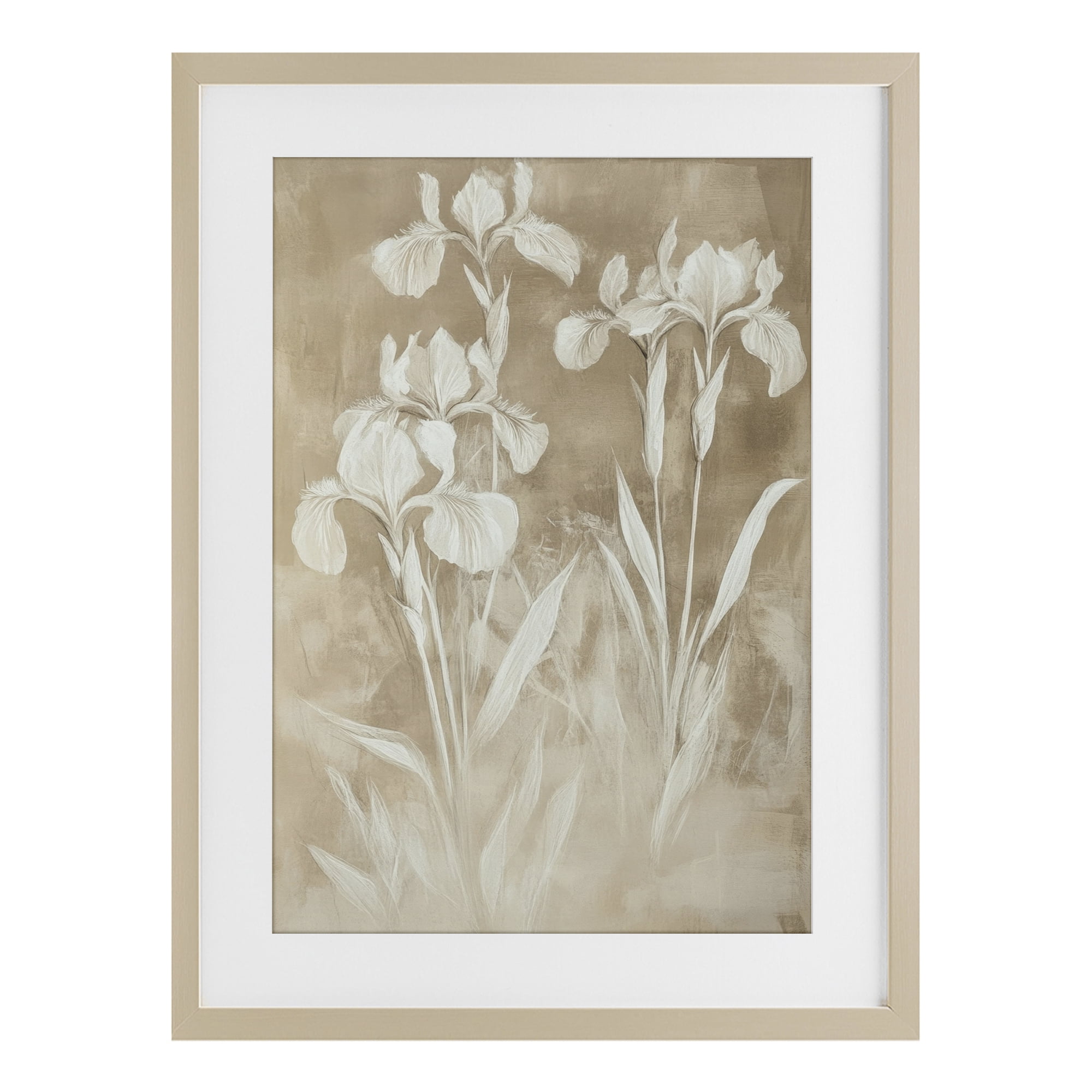 Stupell Industries Neutral Iris Botanical Study Birch Framed Print Under Glass, design by Petal Prints Design