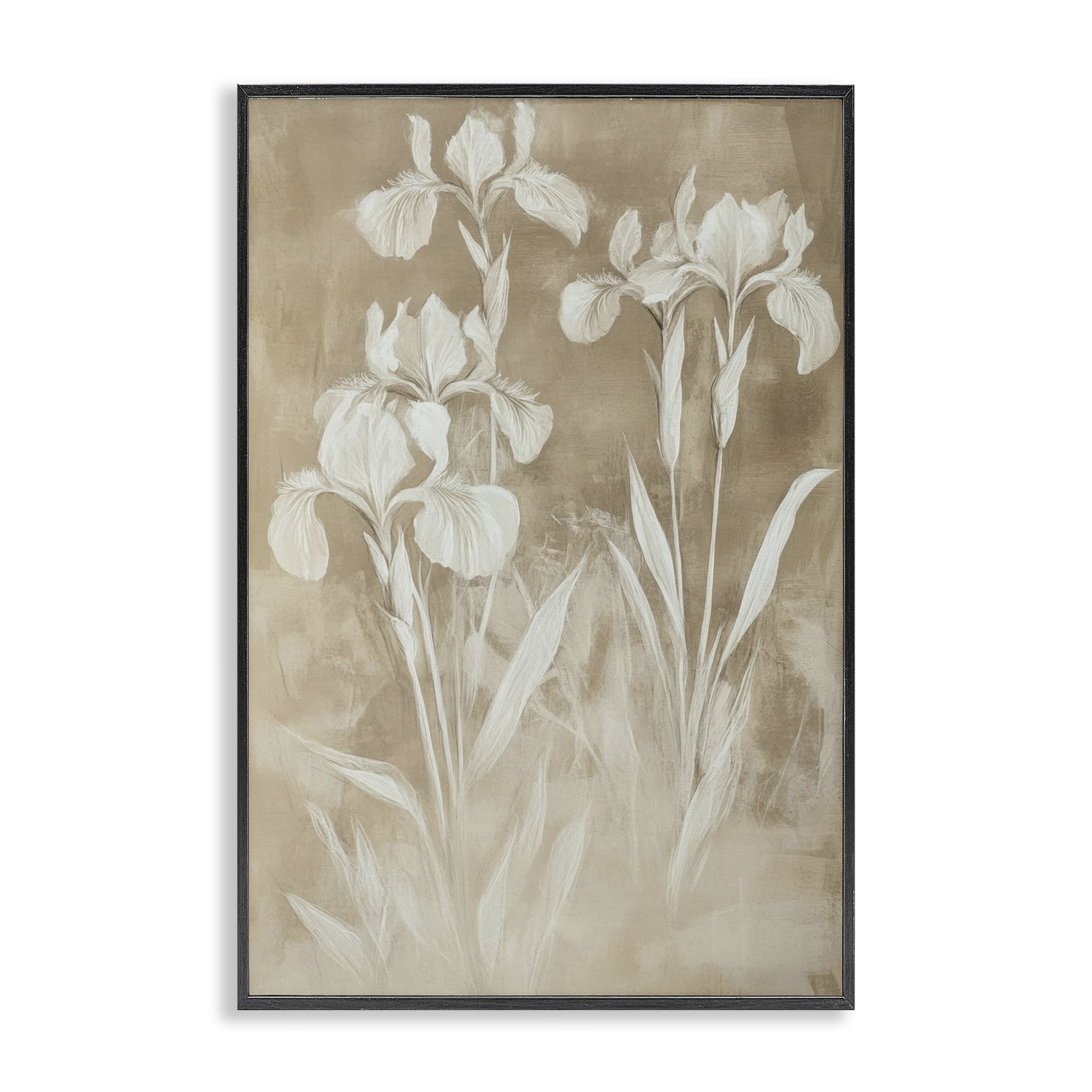 Stupell Industries Neutral Iris Botanical Study Black Framed Giclee Art, design by Petal Prints Design