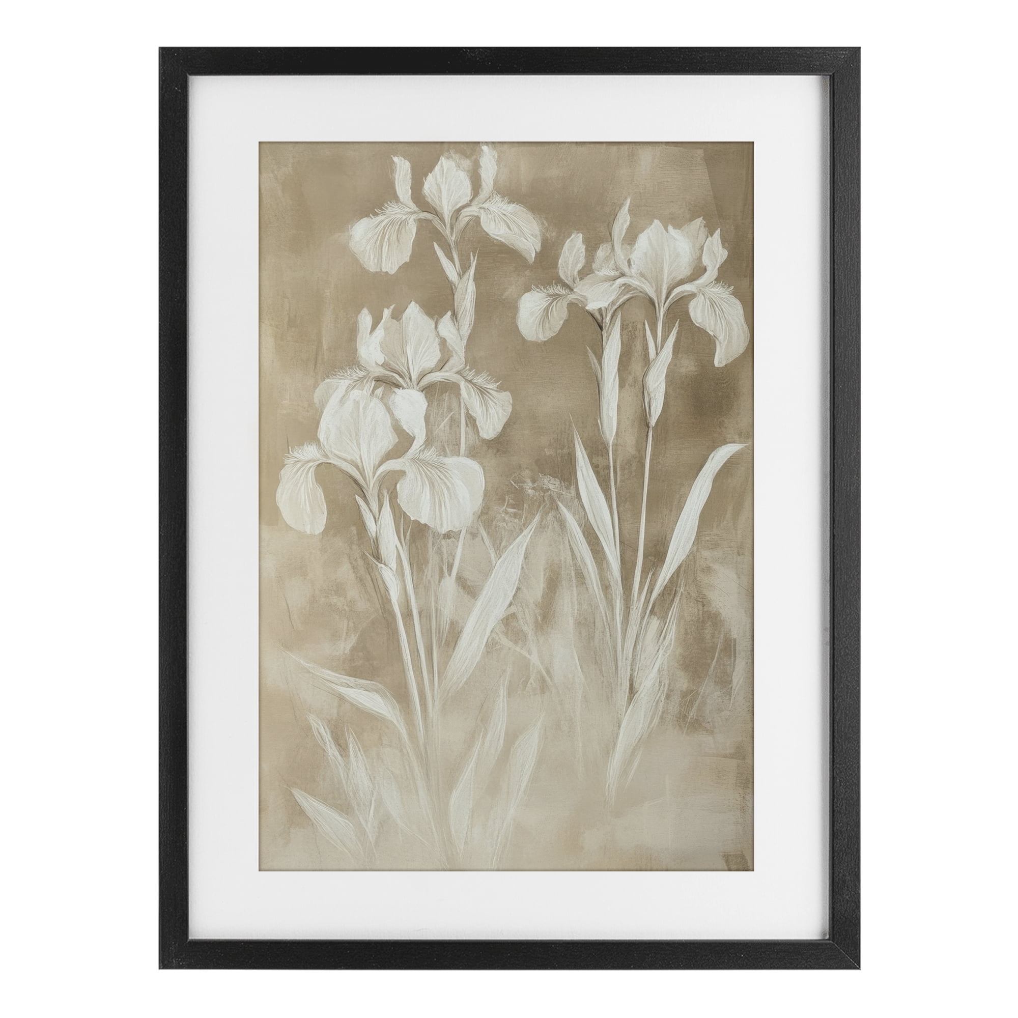 Stupell Industries Neutral Iris Botanical Study Black Framed Print Under Glass, design by Petal Prints Design