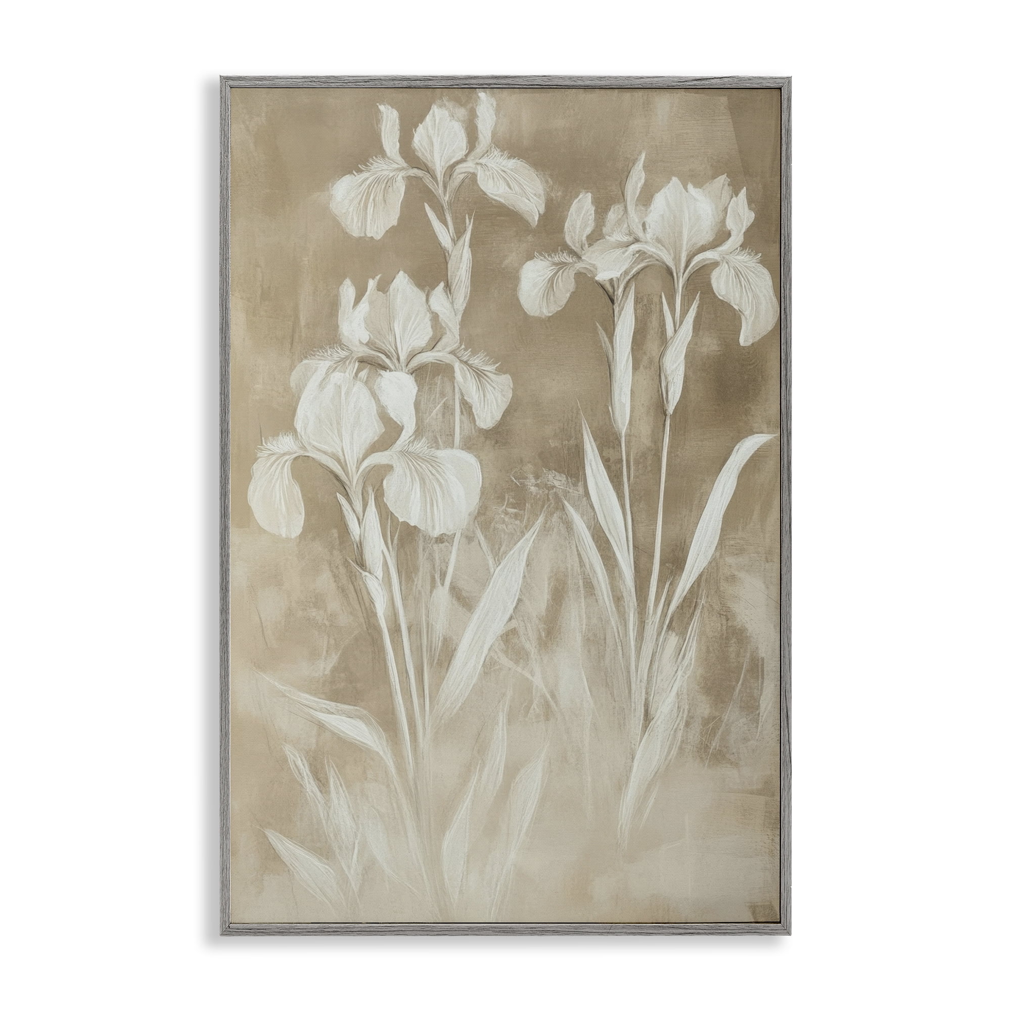 Stupell Industries Neutral Iris Botanical Study Gray Framed Giclee Art, design by Petal Prints Design