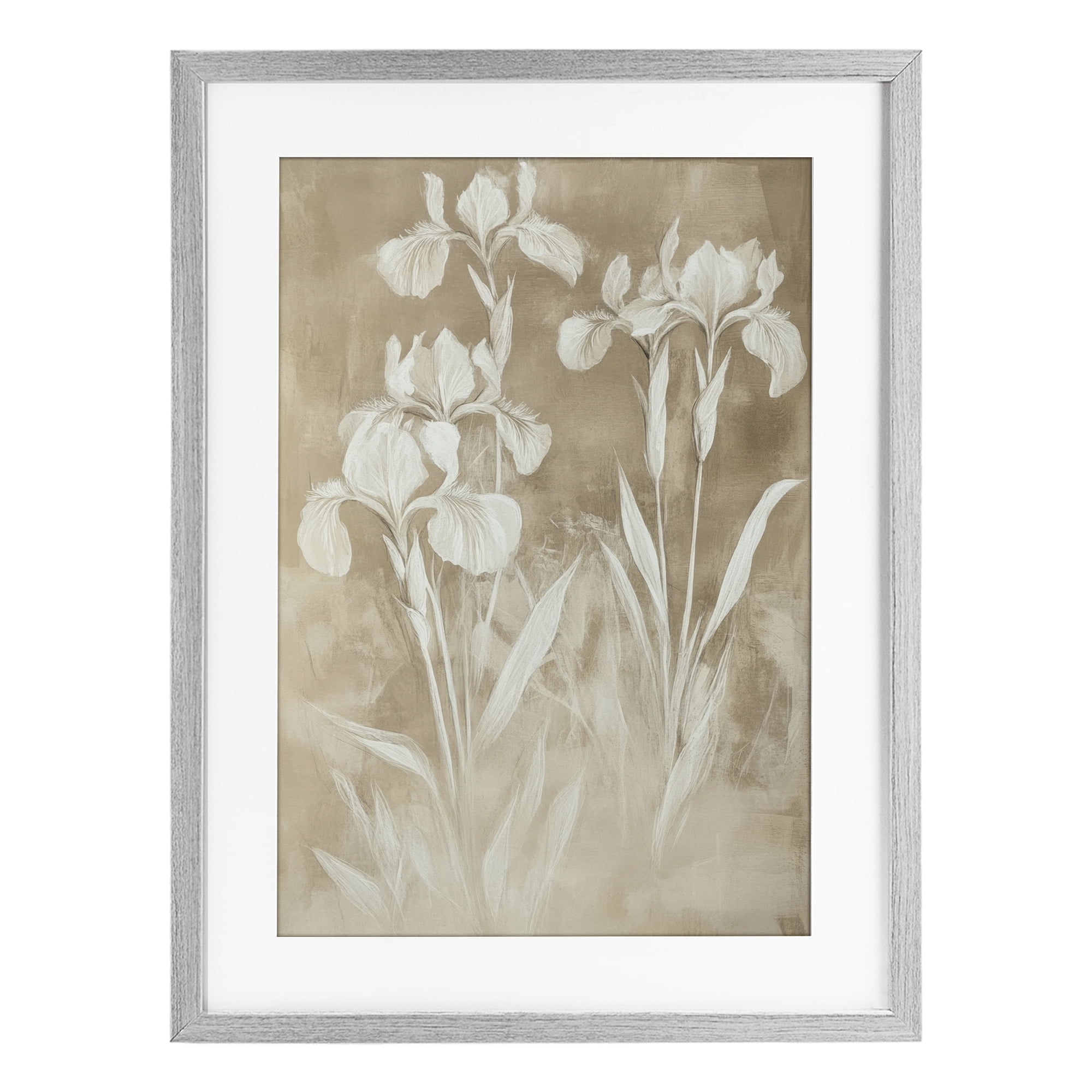Stupell Industries Neutral Iris Botanical Study Gray Framed Print Under Glass, design by Petal Prints Design