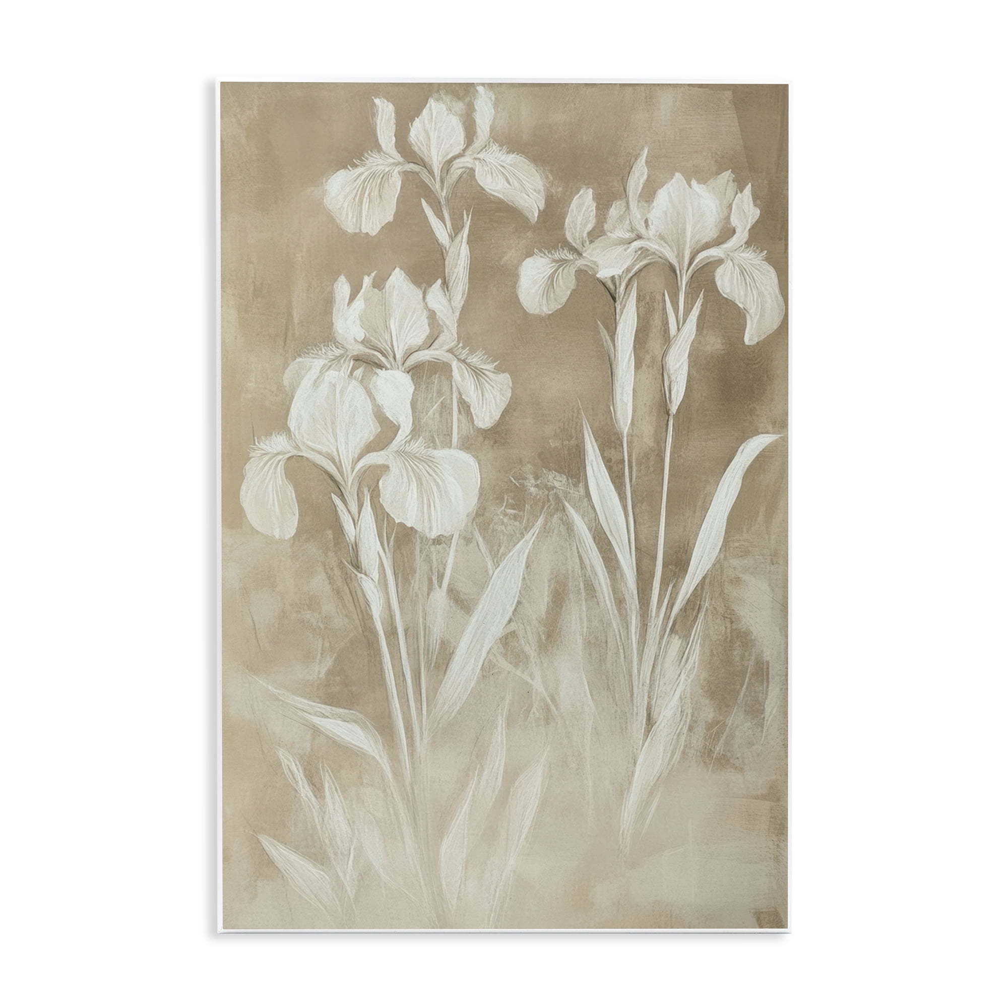 Stupell Industries Neutral Iris Botanical Study Wall Plaque Art, design by Petal Prints Design