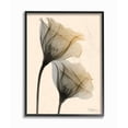 thumbnail image 1 of Stupell Industries Neutral Light Flower Photograph Black Framed Art Print Wall Art, 24x30, by Albert Koetsier, 1 of 7