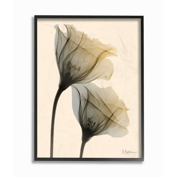 Stupell Industries Neutral Light Flower Photograph Black Framed Art Print Wall Art, 24x30, by Albert Koetsier