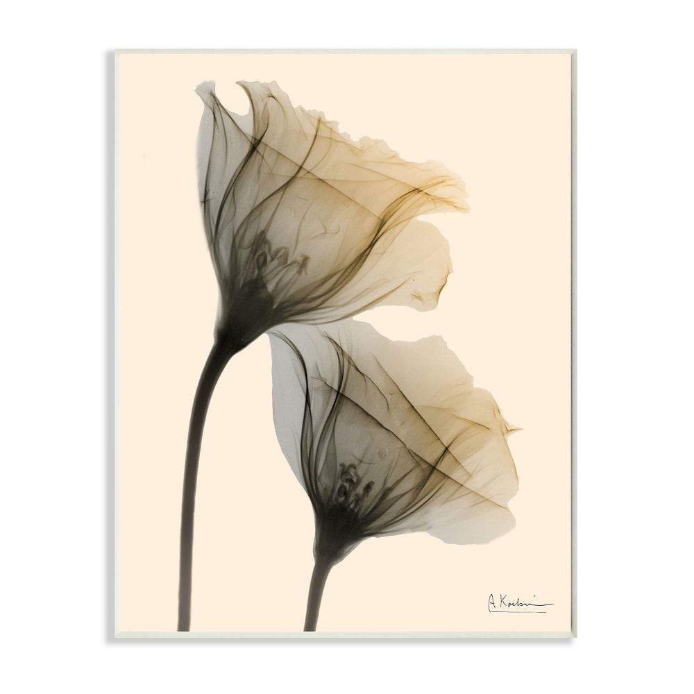 Stupell Industries Neutral Light Flower Photograph Wall Plaque by Albert Koetsier, 10" x 15", Wall Plaque