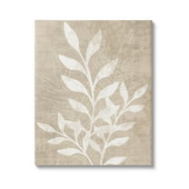 Stupell Industries Neutral Plant Leaf Collage Graphic Art Gallery Wrapped Canvas Print Wall Art, Design by Natalie Carpentieri