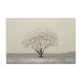 thumbnail image 1 of Stupell Industries Traditional Neutral Radiance Tree Canvas Art, 36 x 24, by Michael Marcon, 1 of 8