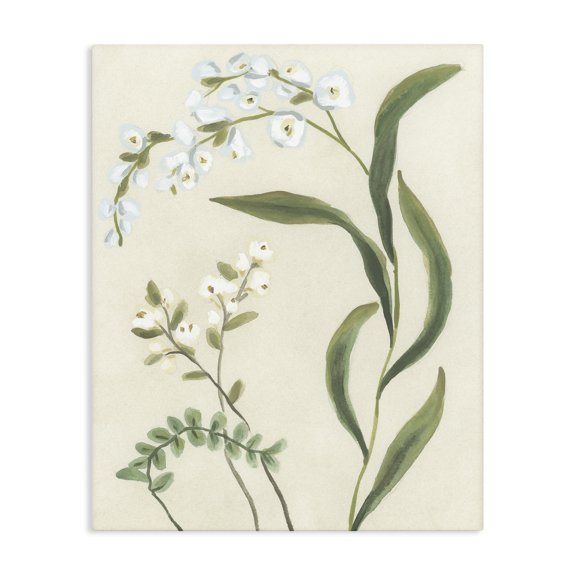 Stupell Industries Neutral Snowdrop Stems Canvas Wall Art, design by June Erica Vess