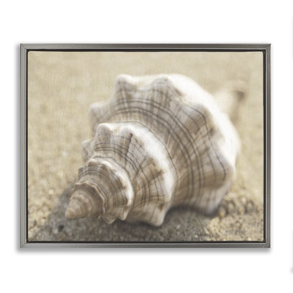 Stupell Industries Neutral Tone Conch Shell Animals Painting Gray Floater Framed Canvas Art Print Wall Art, 21 x 17