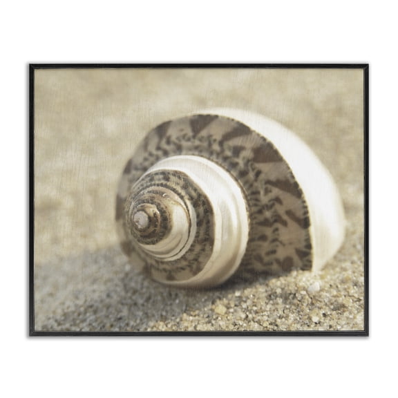 Stupell Industries Neutral Tone Seashell Animals Painting Black Framed Art Print Wall Art, 20 x 16