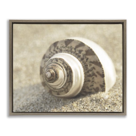 Stupell Industries Neutral Tone Seashell Animals Painting Brown Floater Framed Canvas Art Print Wall Art, 21 x 17