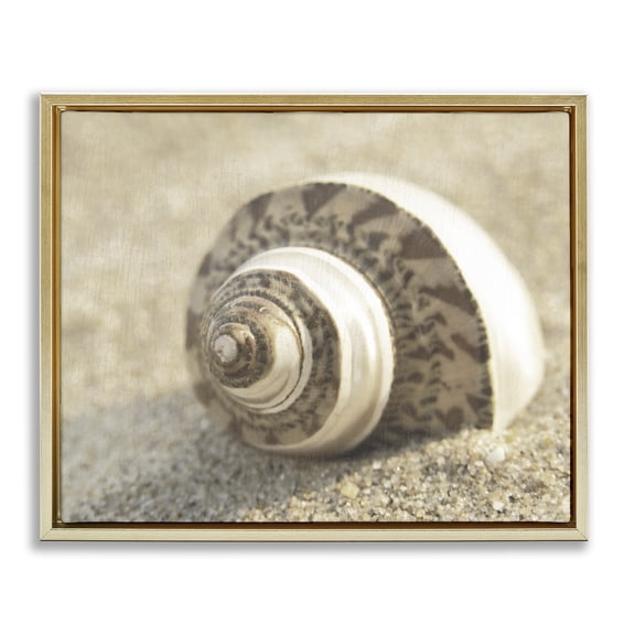 Stupell Industries Neutral Tone Seashell Animals Painting Gold Floater Framed Canvas Art Print Wall Art, 21 x 17