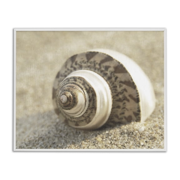 Stupell Industries Neutral Tone Seashell Animals Painting White Framed Art Print Wall Art, 30 x 24