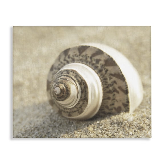 Stupell Industries Neutral Tone Seashell Animals Painting Wrapped Canvas Canvas Art Print Wall Art, 30 x 24