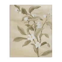 Stupell Industries Neutral White Daffodils Plants & Flowers Painting Wrapped Canvas Art Print Wall Art, 16 x 20