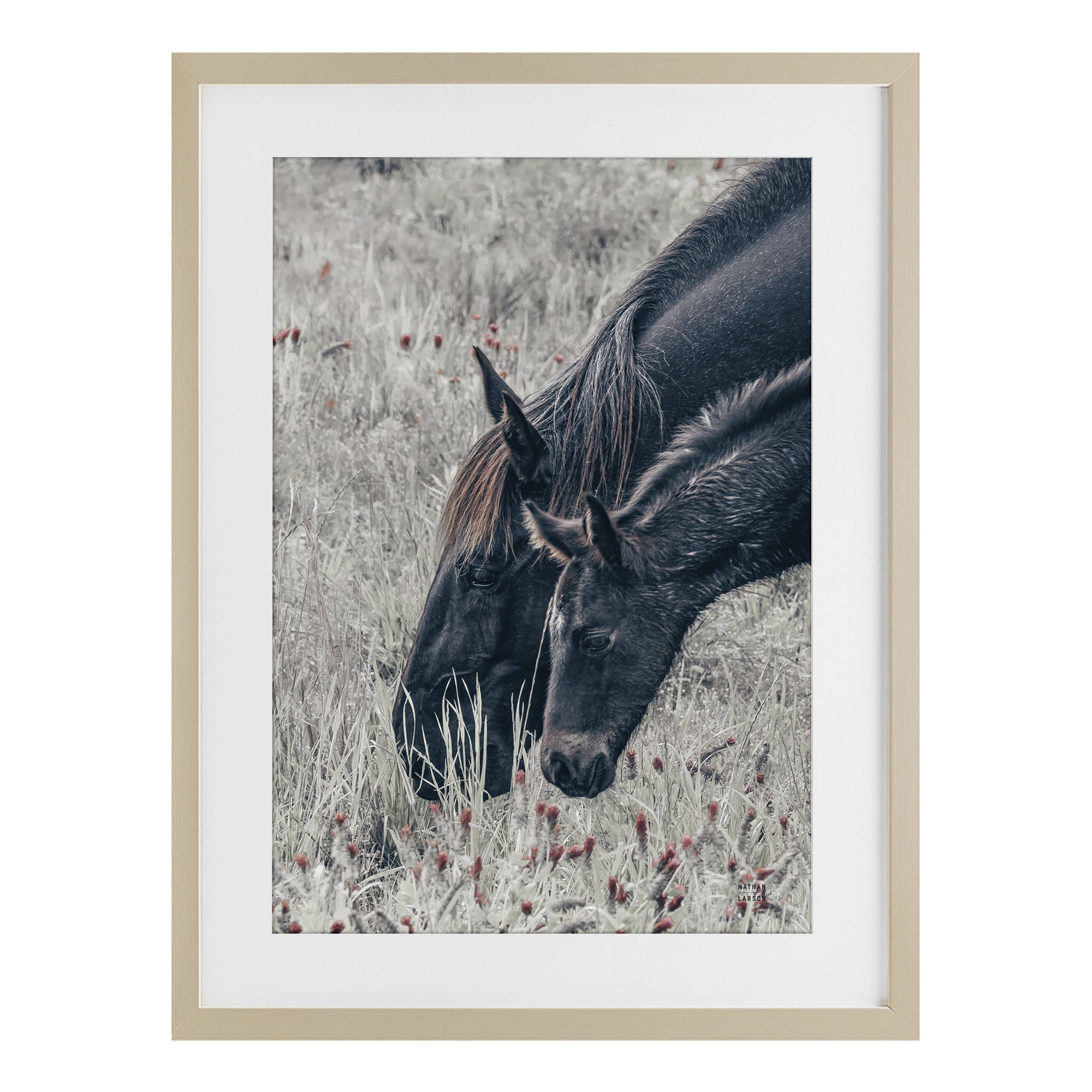 Stupell Industries New Graze Horses in Meadow Birch Framed Print Under Glass, design by Nathan Larson