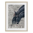 thumbnail image 1 of Stupell Industries Rustic Lodge New Graze Horses in Meadow Birch Framed Print Under Glass, 14 x 20, by Nathan Larson, 1 of 8