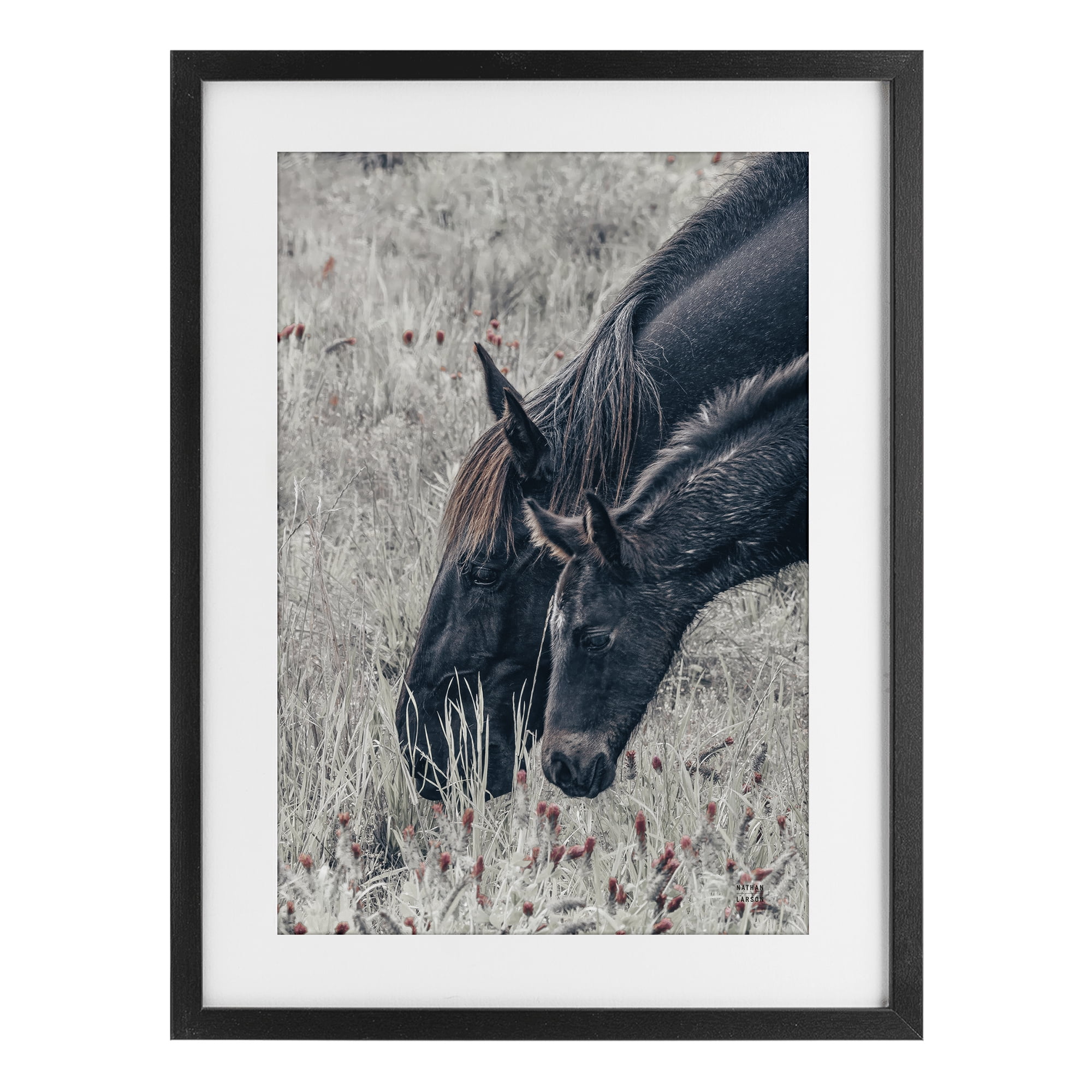 Stupell Industries New Graze Horses in Meadow Black Framed Print Under Glass, design by Nathan Larson