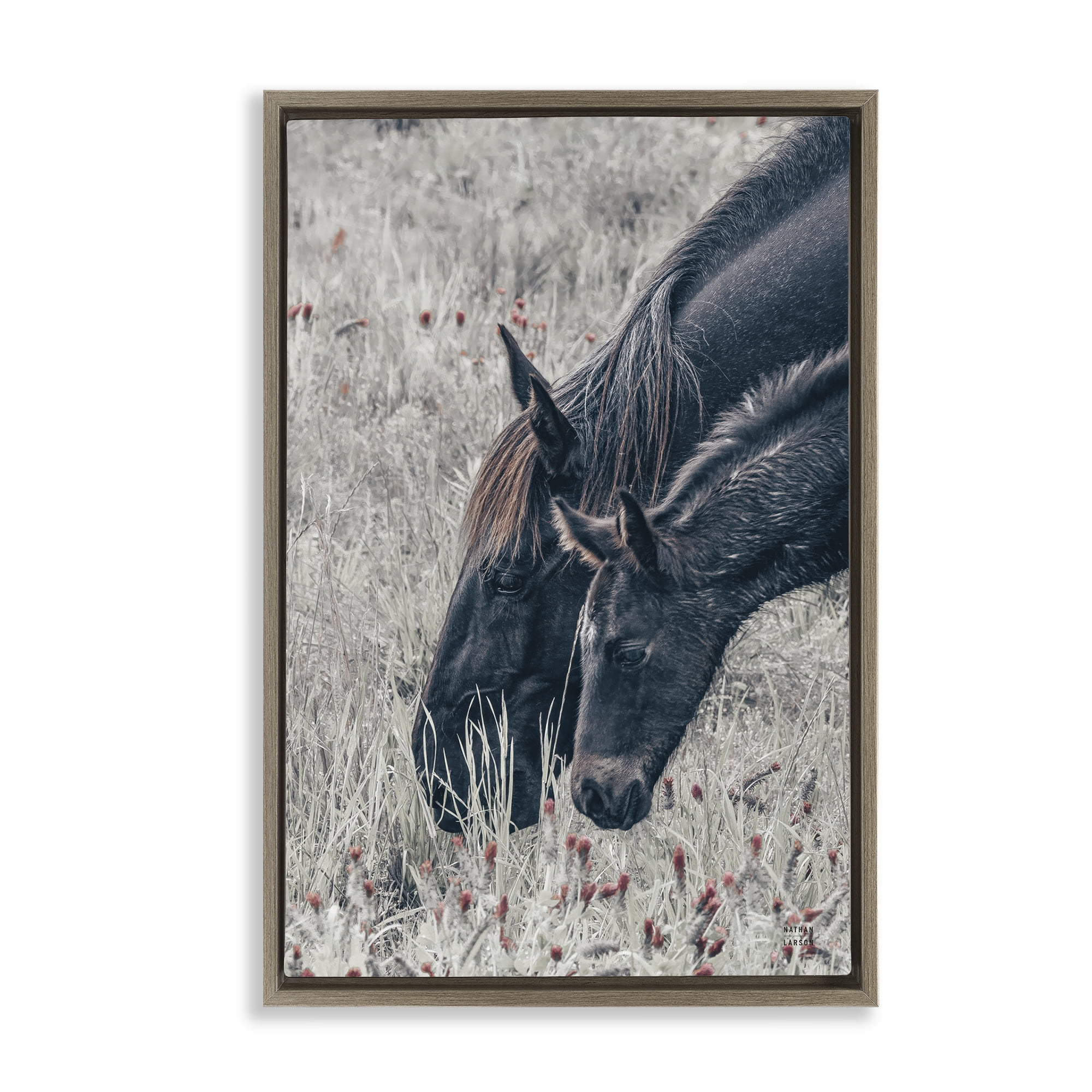 Stupell Industries New Graze Horses in Meadow Brown Framed Floater Canvas Wall Art, design by Nathan Larson