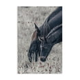 thumbnail image 1 of Stupell Industries Rustic Lodge New Graze Horses in Meadow Canvas Art, 16 x 24, by Nathan Larson, 1 of 8