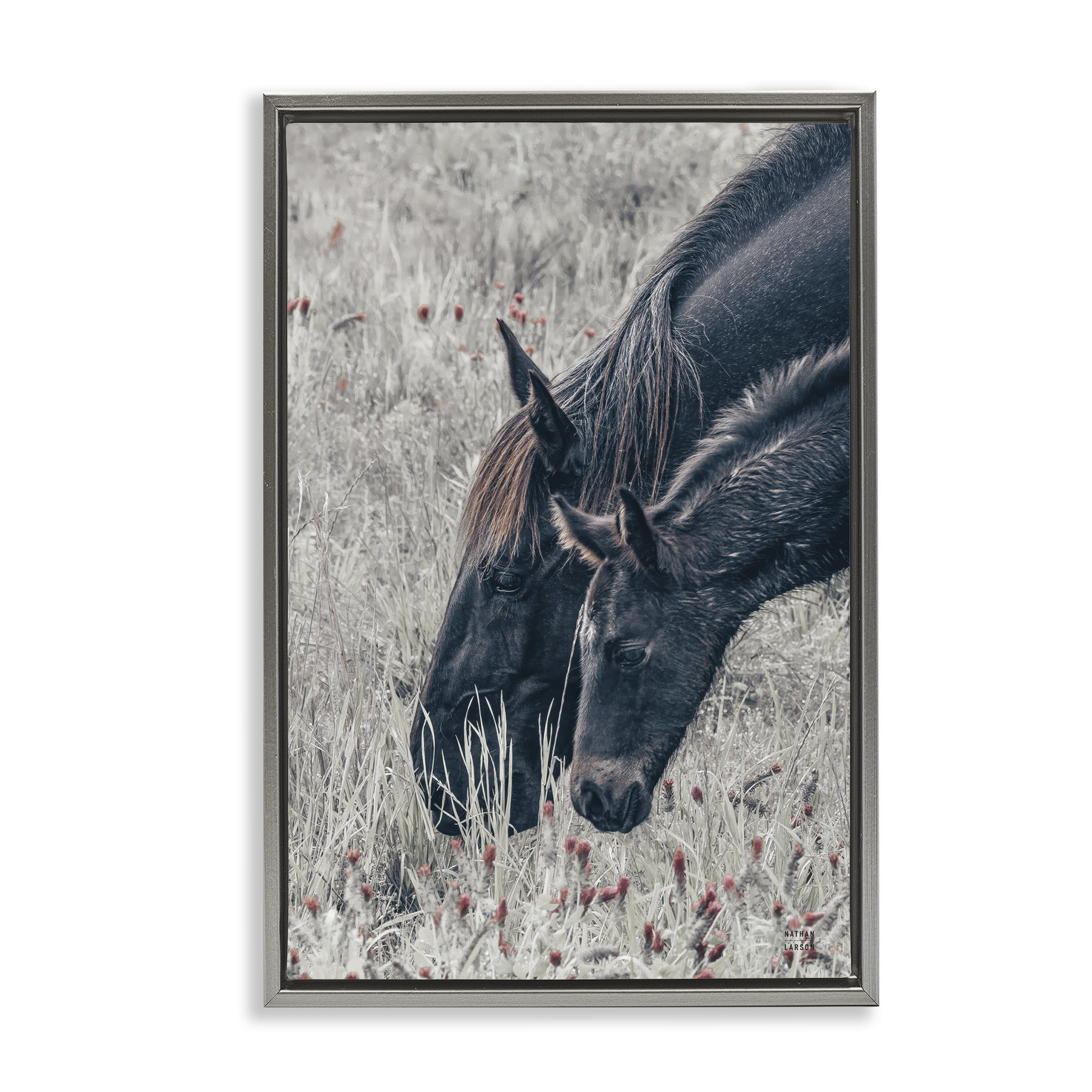 Stupell Industries New Graze Horses in Meadow Gray Framed Floater Canvas Wall Art, design by Nathan Larson