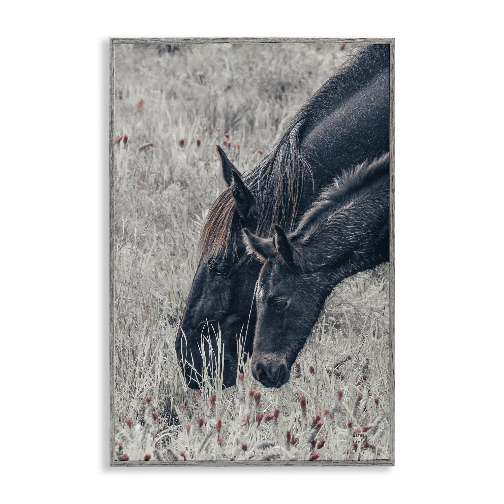 Stupell Industries New Graze Horses in Meadow Gray Framed Giclee Art, design by Nathan Larson