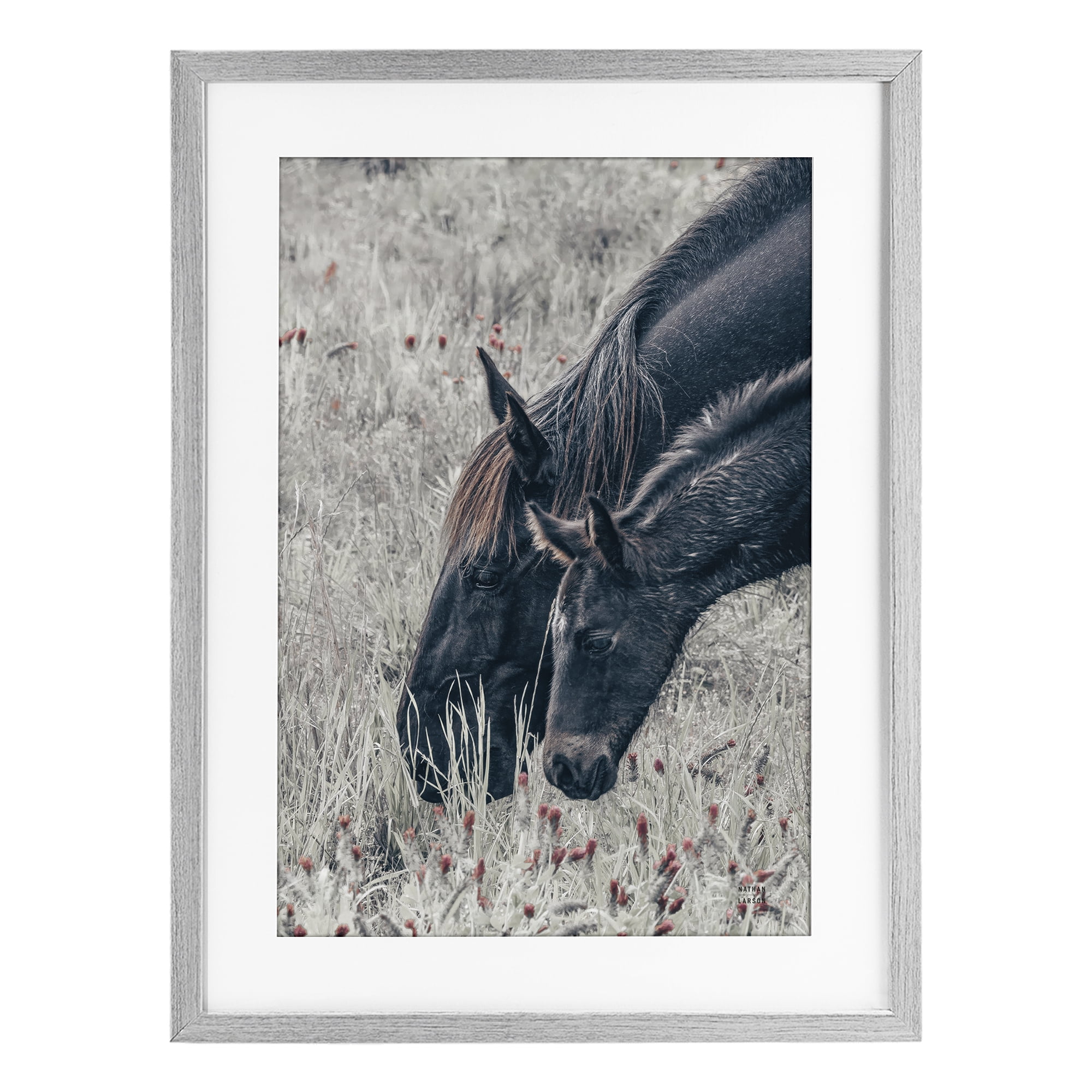 Stupell Industries New Graze Horses in Meadow Gray Framed Print Under Glass, design by Nathan Larson