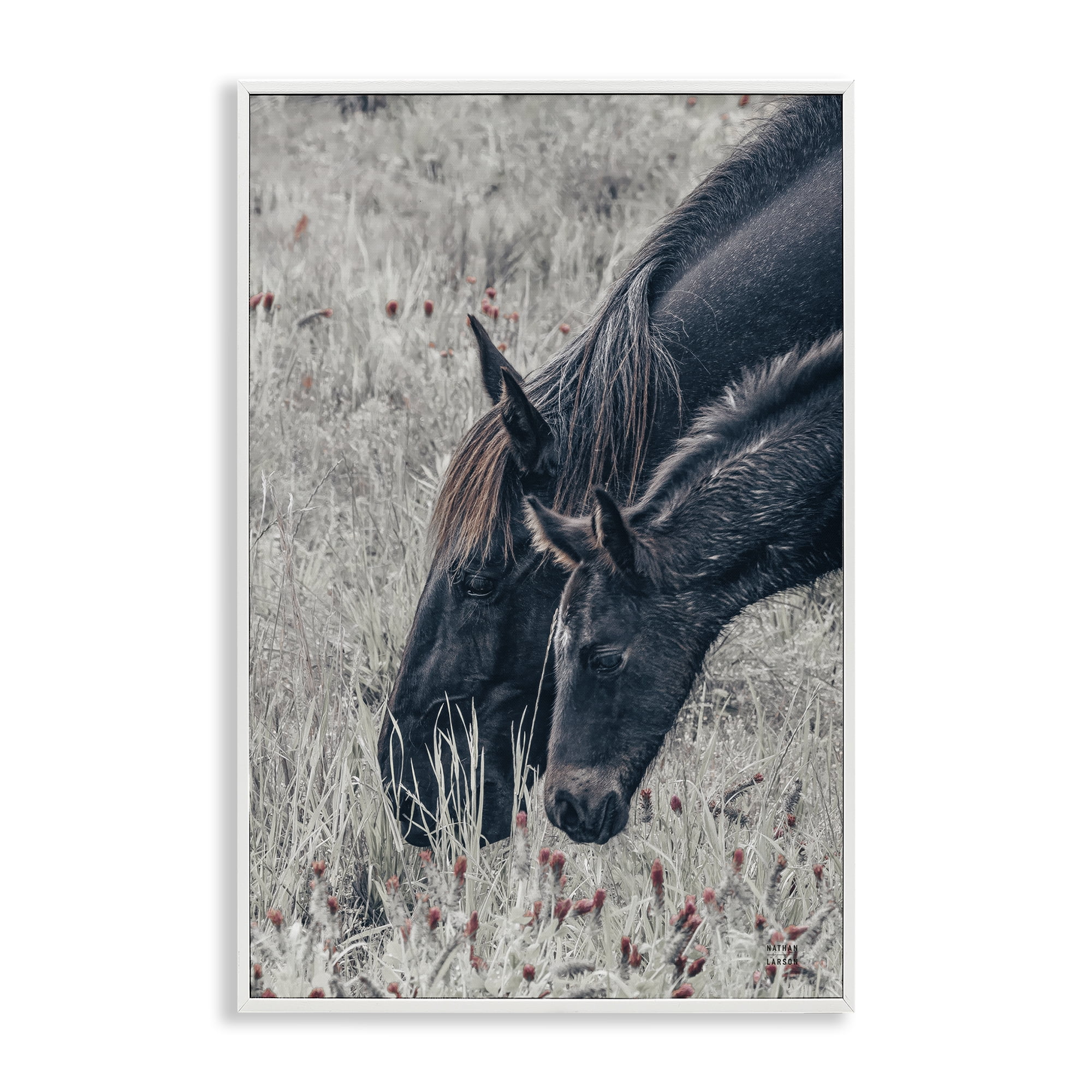 Stupell Industries New Graze Horses in Meadow White Framed Giclee Art, design by Nathan Larson