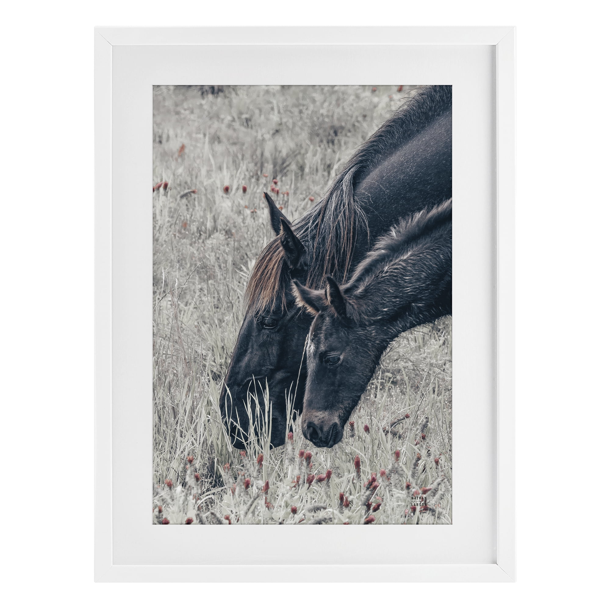 Stupell Industries New Graze Horses in Meadow White Framed Print Under Glass, design by Nathan Larson