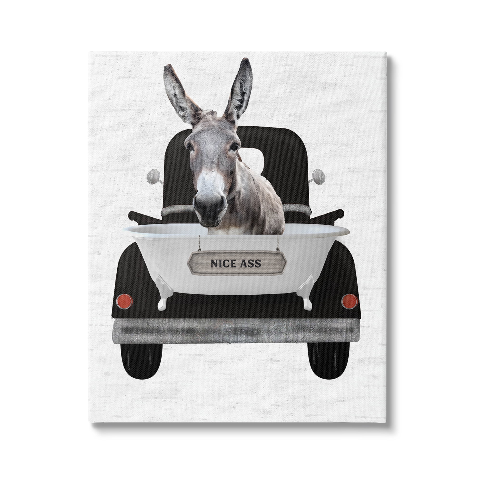 Stupell Industries Nice A** Donkey Phrase Animals & Insects Painting Gallery Wrapped Canvas Print Wall Art, 36 x 48