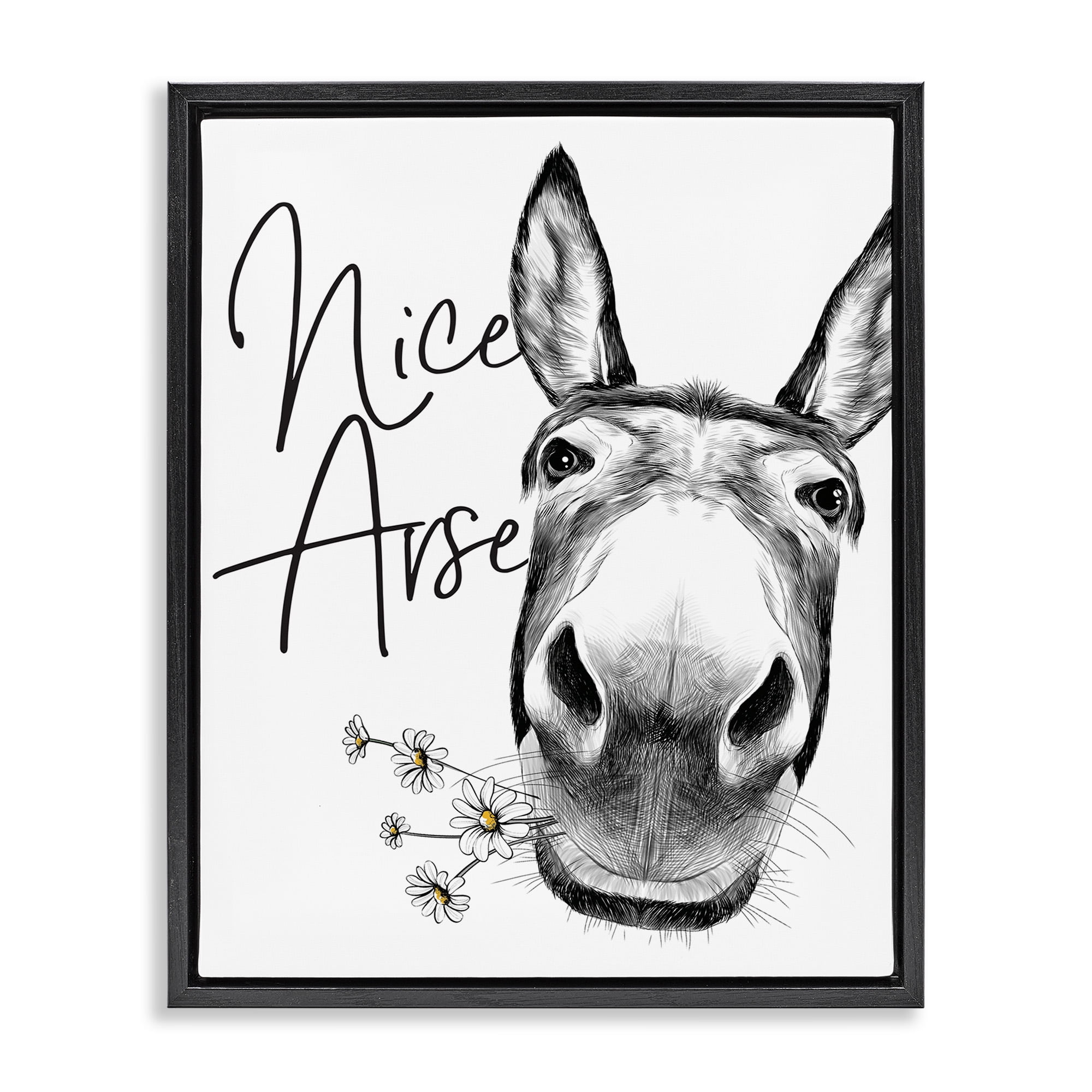 Stupell Industries Nice Arse Donkey Pun Animals & Insects Painting Black Floater Framed Canvas Art Print Wall Art, 25 x 31