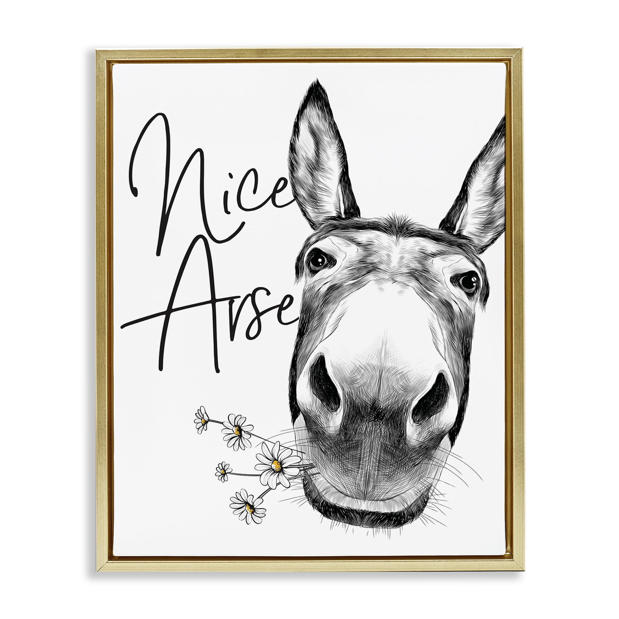 Stupell Industries Nice Arse Donkey Pun Animals & Insects Painting Gold Floater Framed Canvas Art Print Wall Art, 17 x 21