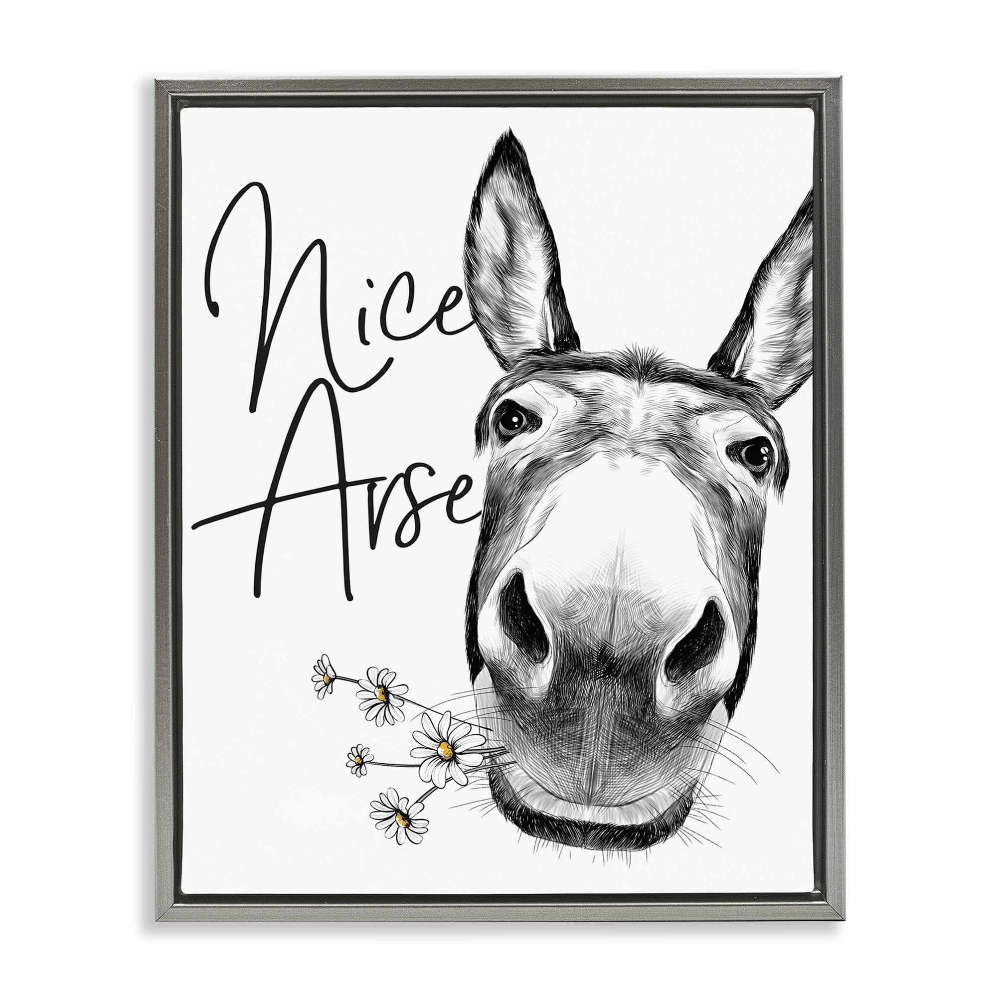 Stupell Industries Nice Arse Donkey Pun Animals & Insects Painting Gray Floater Framed Canvas Art Print Wall Art, 17 x 21
