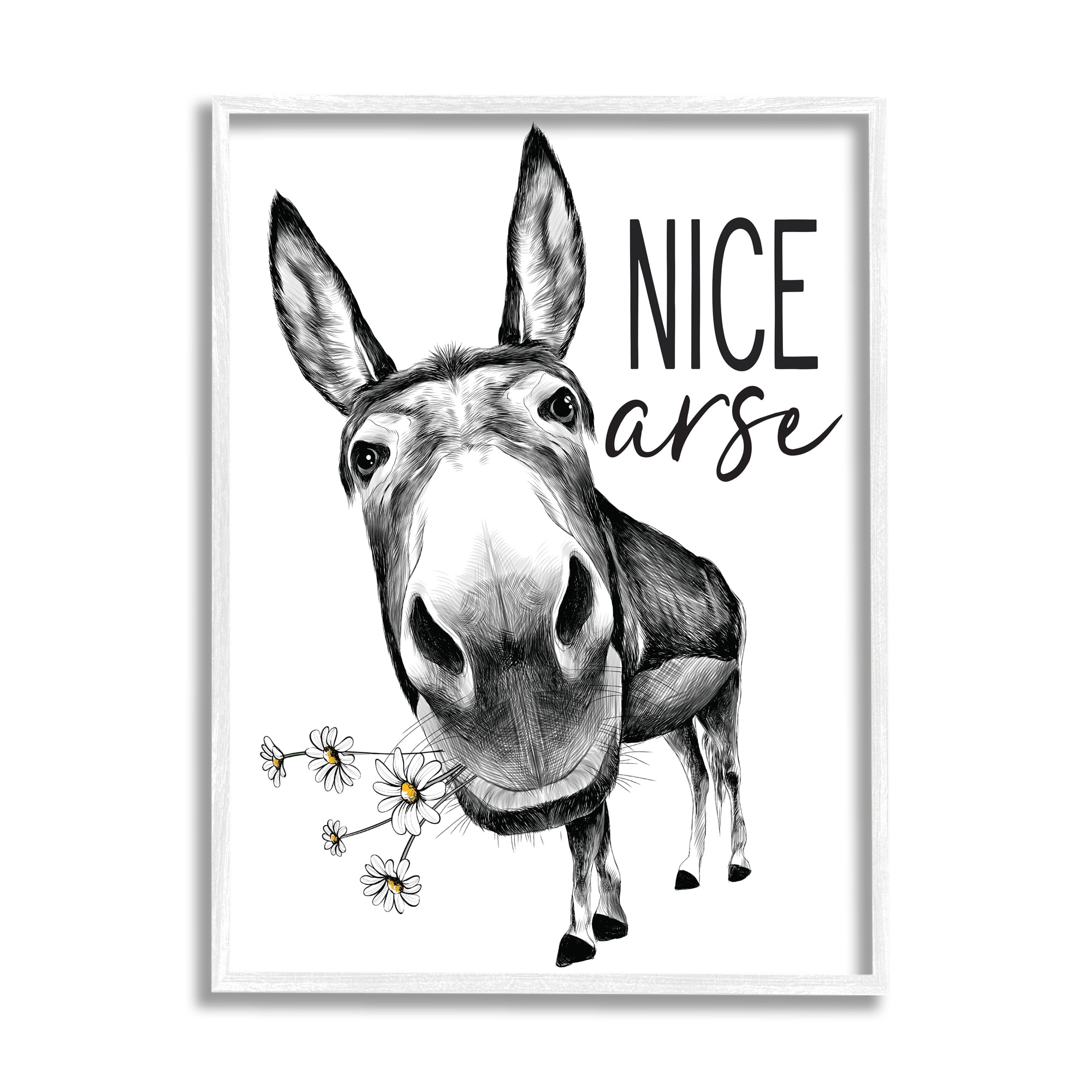 Stupell Industries Nice Arse Funny Donkey Pun White Daisey Flowers, 16 x 20, Designed by Lettered and Lined