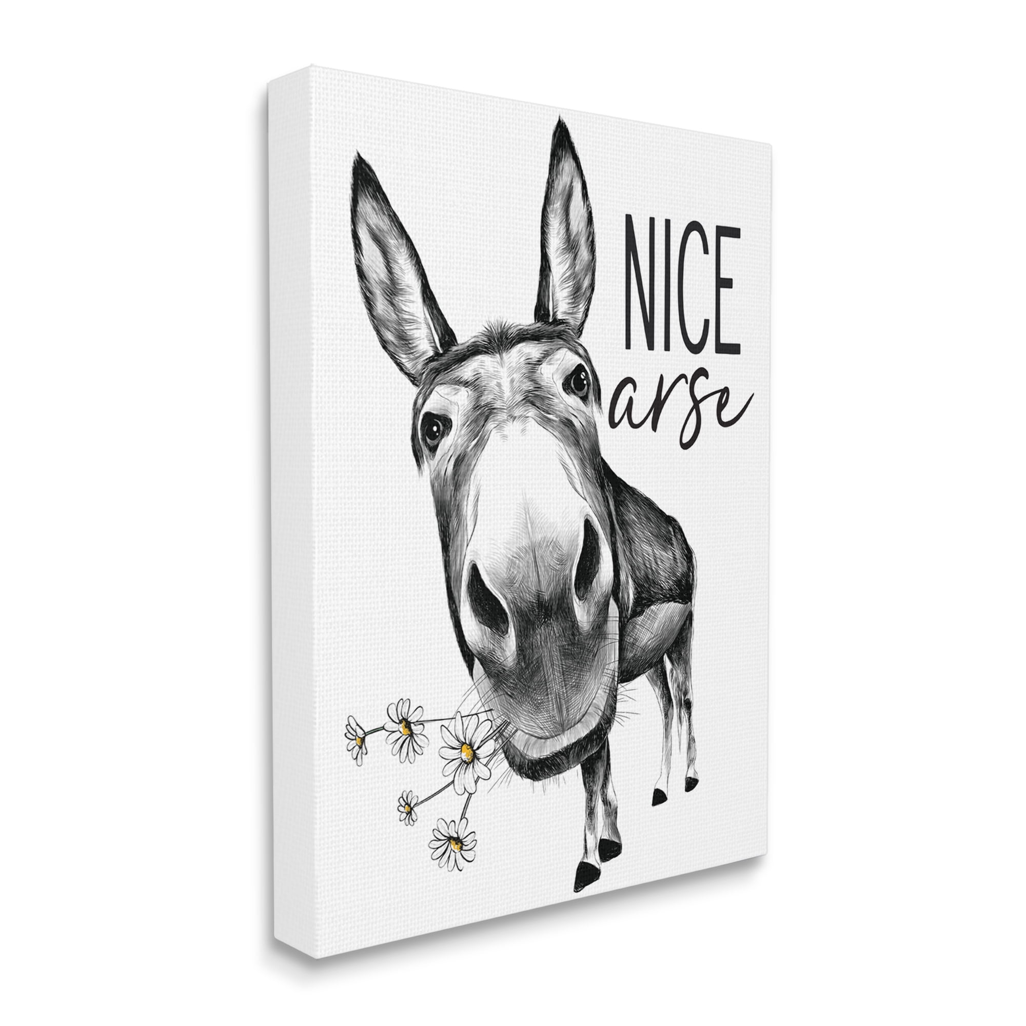 Stupell Industries Nice Arse Funny Donkey Pun White Daisey Flowers, 16 x 20, Designed by Lettered and Lined