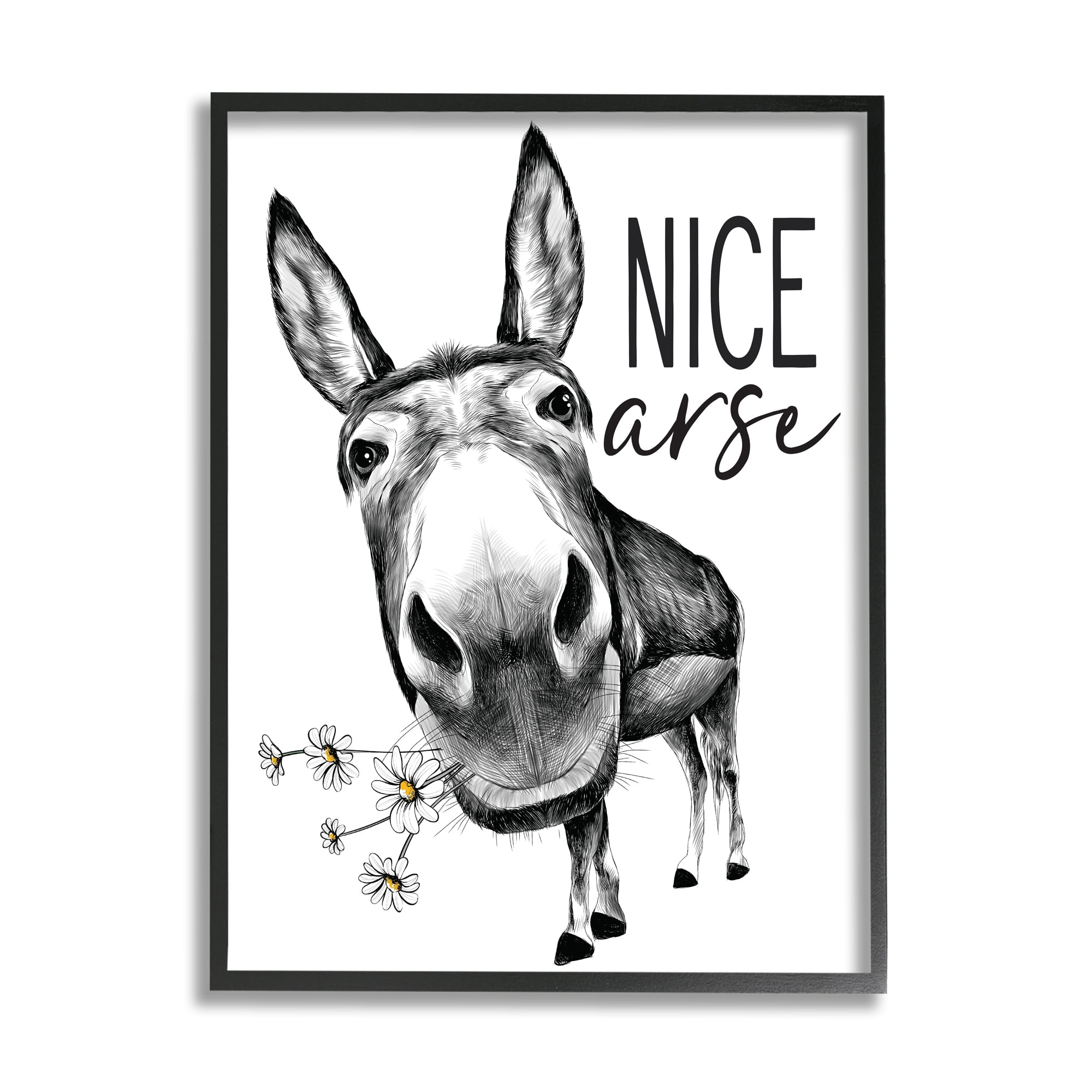Stupell Industries Nice Arse Funny Donkey Pun White Daisey Flowers Novelty Painting Black Framed Art Print Wall Art, 11 x 14, Design by Lettered and Lined