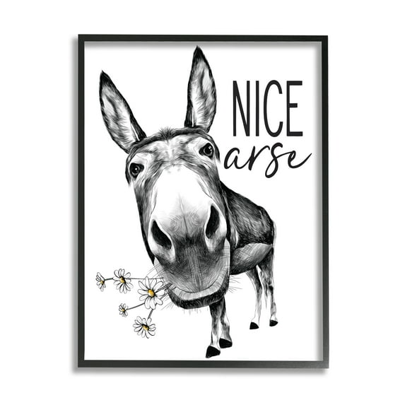 Stupell Industries Nice Arse Funny Donkey Pun White Daisey Flowers Novelty Painting Black Framed Art Print Wall Art, 16 x 20, Design by Lettered and Lined