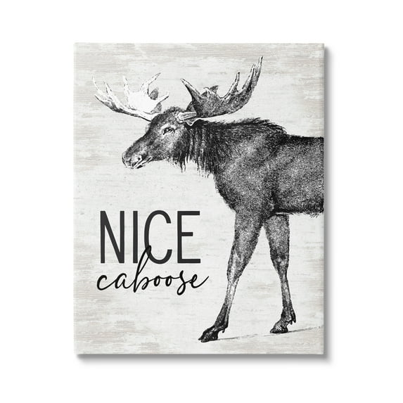 Stupell Industries Nice Caboose Lake House Bathroom Humor Moose Graphic Art Gallery Wrapped Canvas Print Wall Art, Design by Lettered and Lined