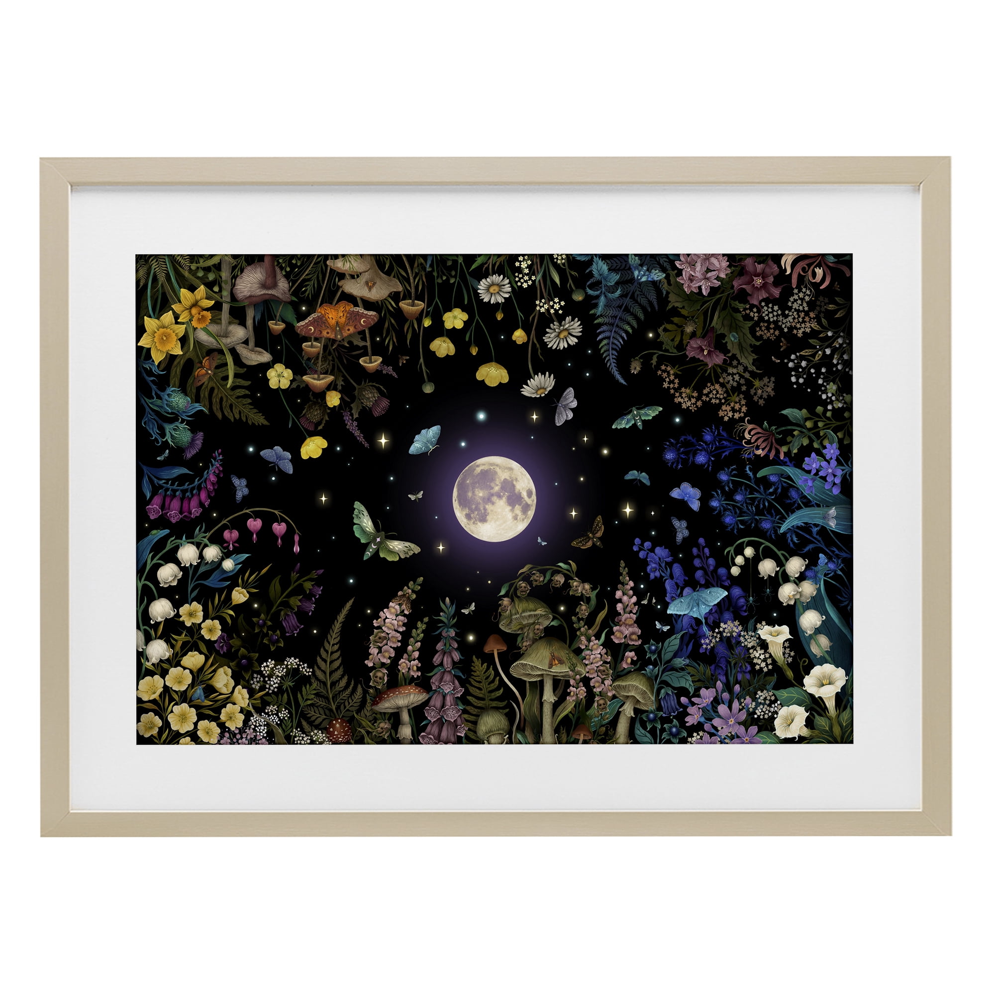 Stupell Industries Night Garden with Moth Birch Framed Print Under Glass, design by Episodic Drawings