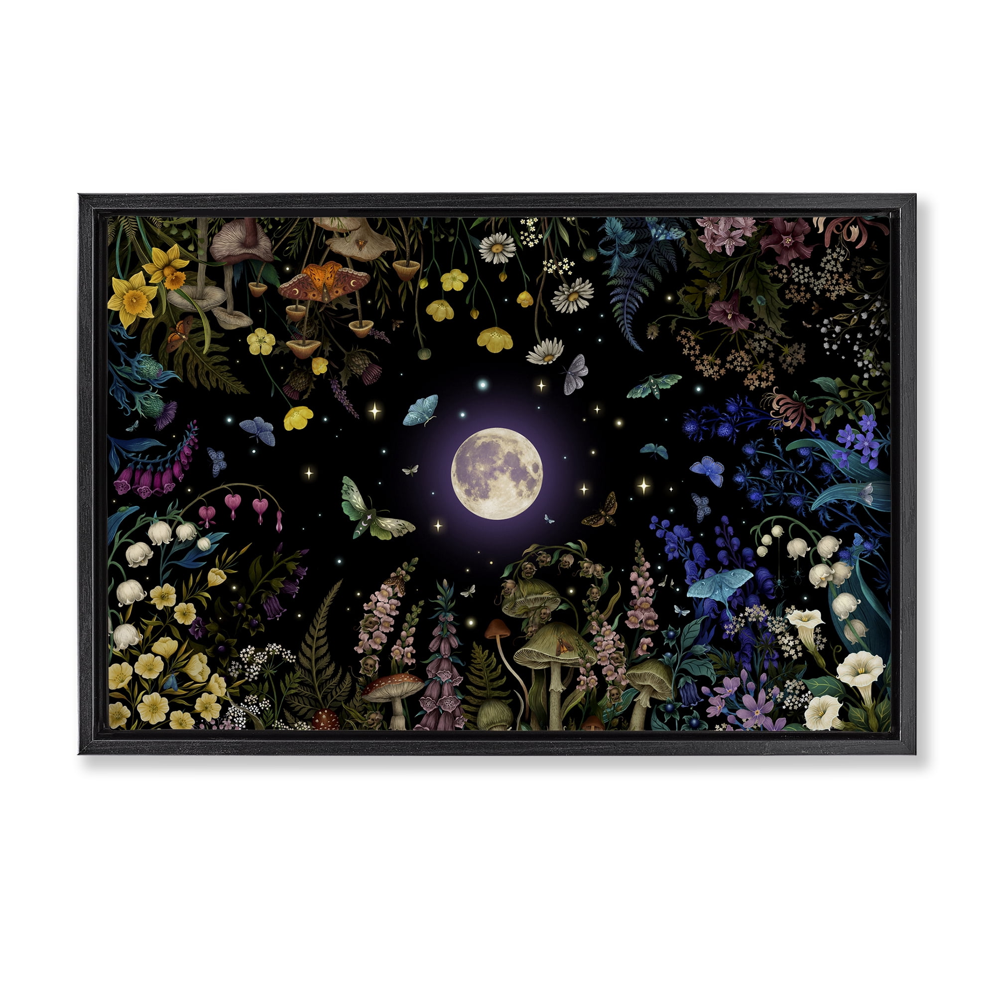 Stupell Industries Night Garden with Moth Black Framed Floater Canvas Wall Art, design by Episodic Drawings