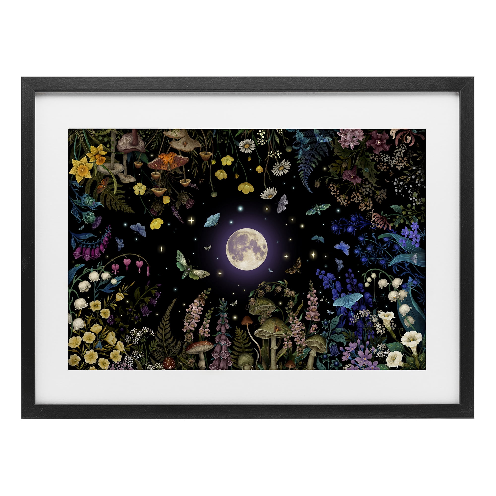 Stupell Industries Night Garden with Moth Black Framed Print Under Glass, design by Episodic Drawings