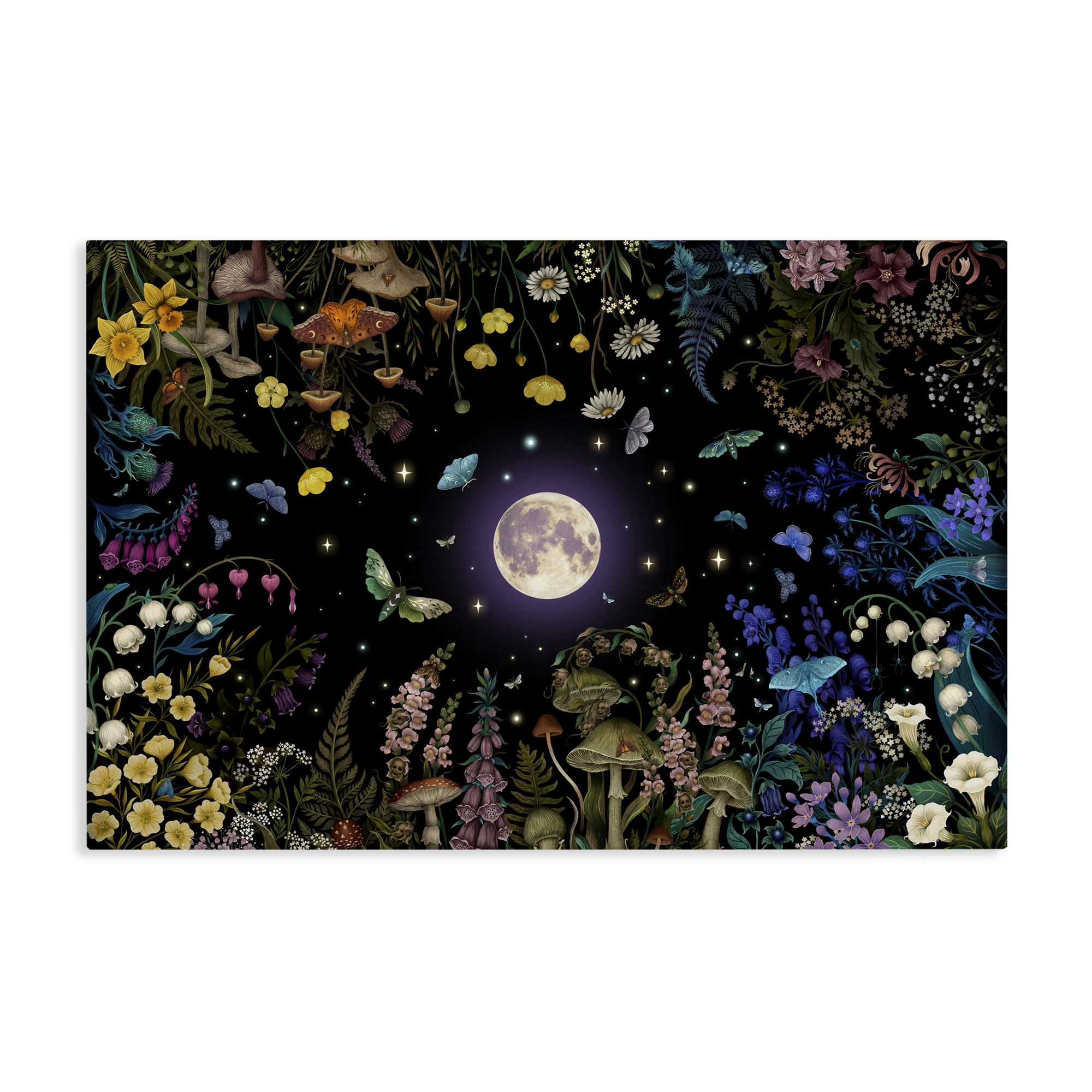 Stupell Industries Night Garden with Moth Canvas Wall Art, design by Episodic Drawings