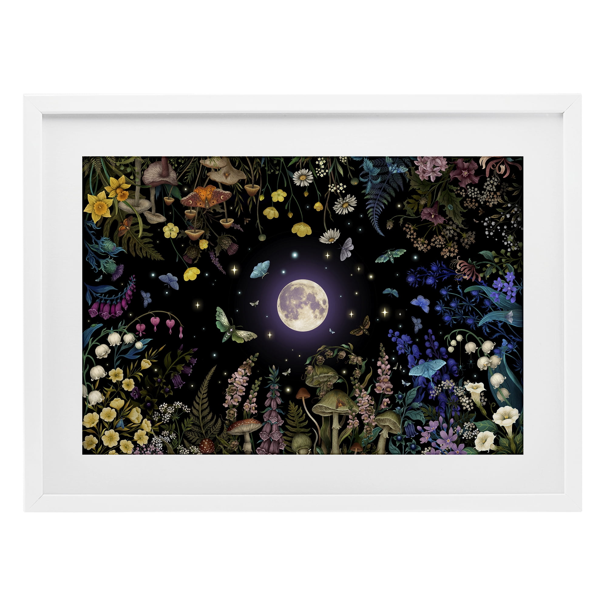 Stupell Industries Night Garden with Moth White Framed Print Under Glass, design by Episodic Drawings
