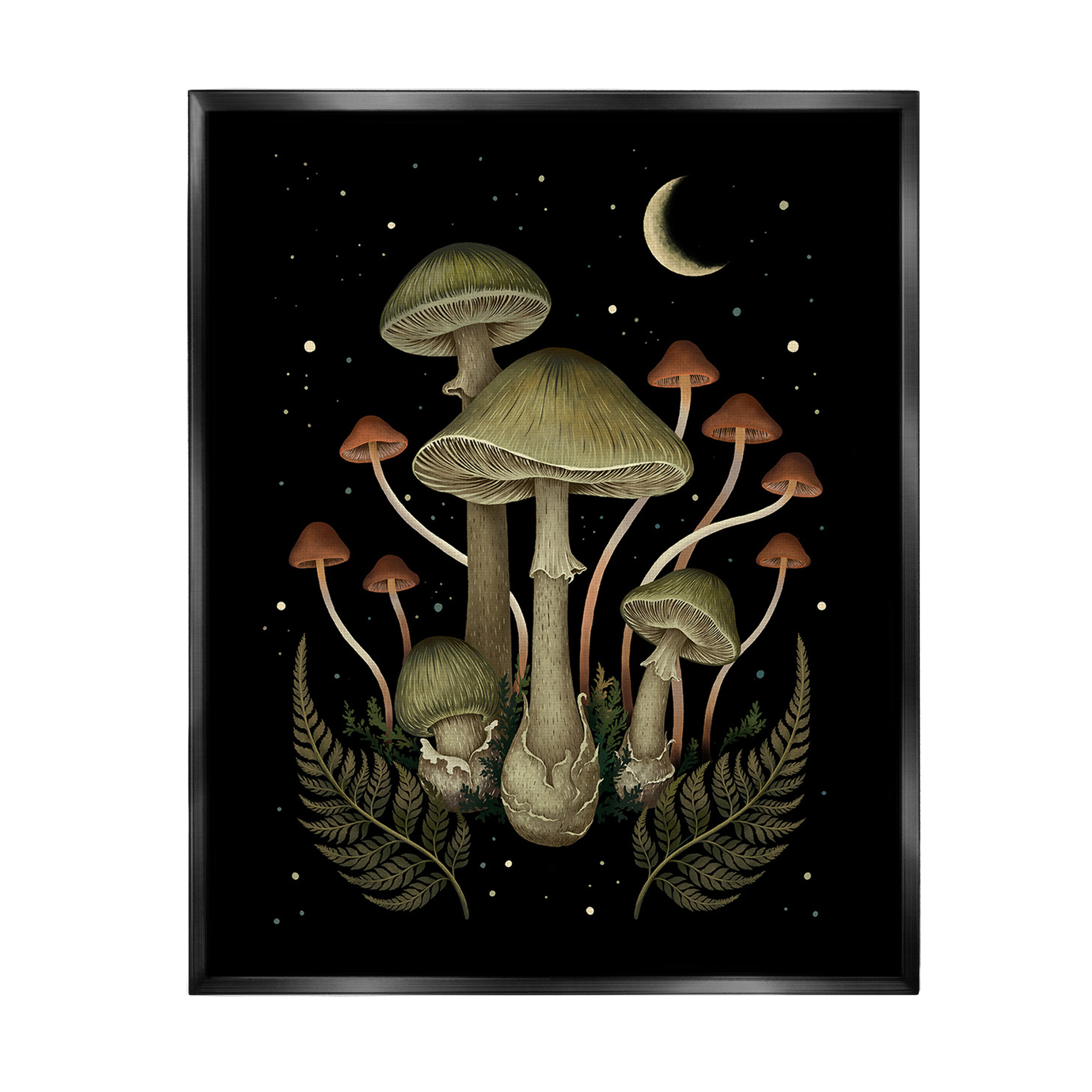 Stupell Industries Night Mushrooms & Ferns Botanical & Floral Painting Black Floater Framed Canvas Art Print Wall Art, 25 x 31