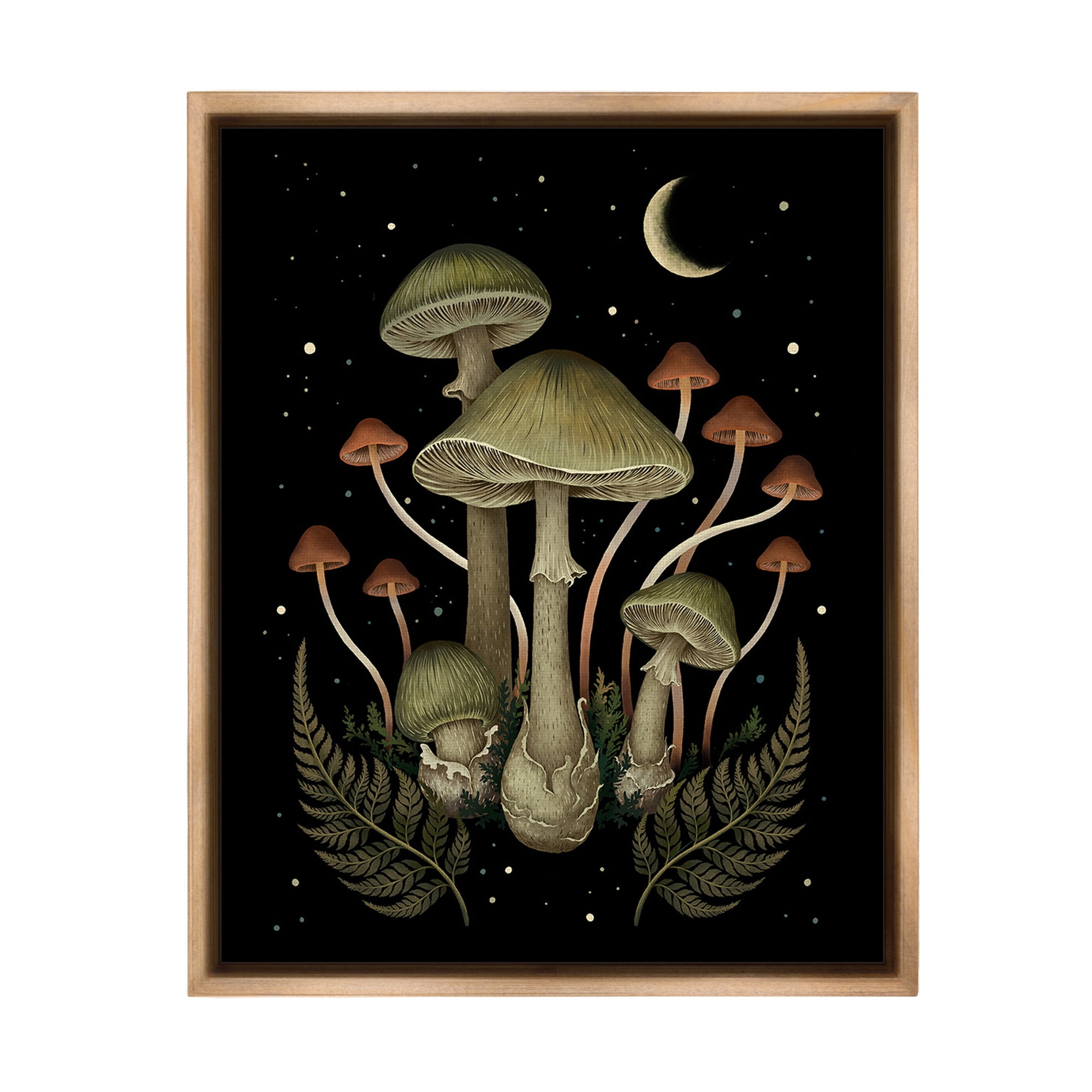 Stupell Industries Night Mushrooms & Ferns Botanical & Floral Painting Brown Floater Framed Canvas Art Print Wall Art, 25 x 31