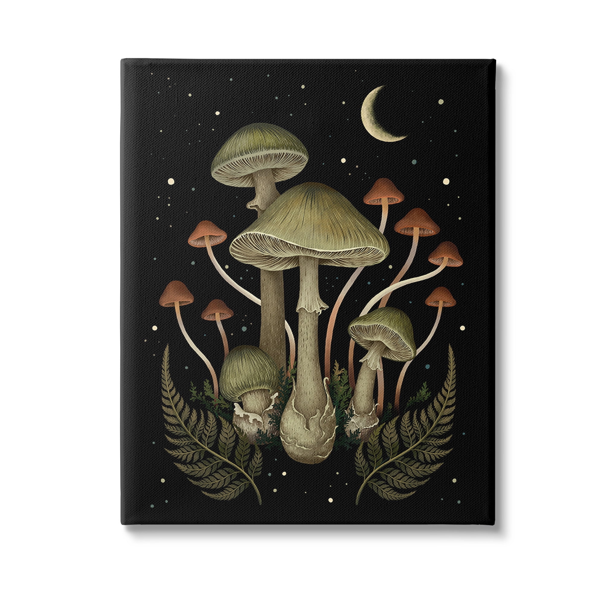 Stupell Industries Night Mushrooms & Ferns Botanical & Floral Painting Gallery Wrapped Canvas Art Print Wall Art, 24 x 30