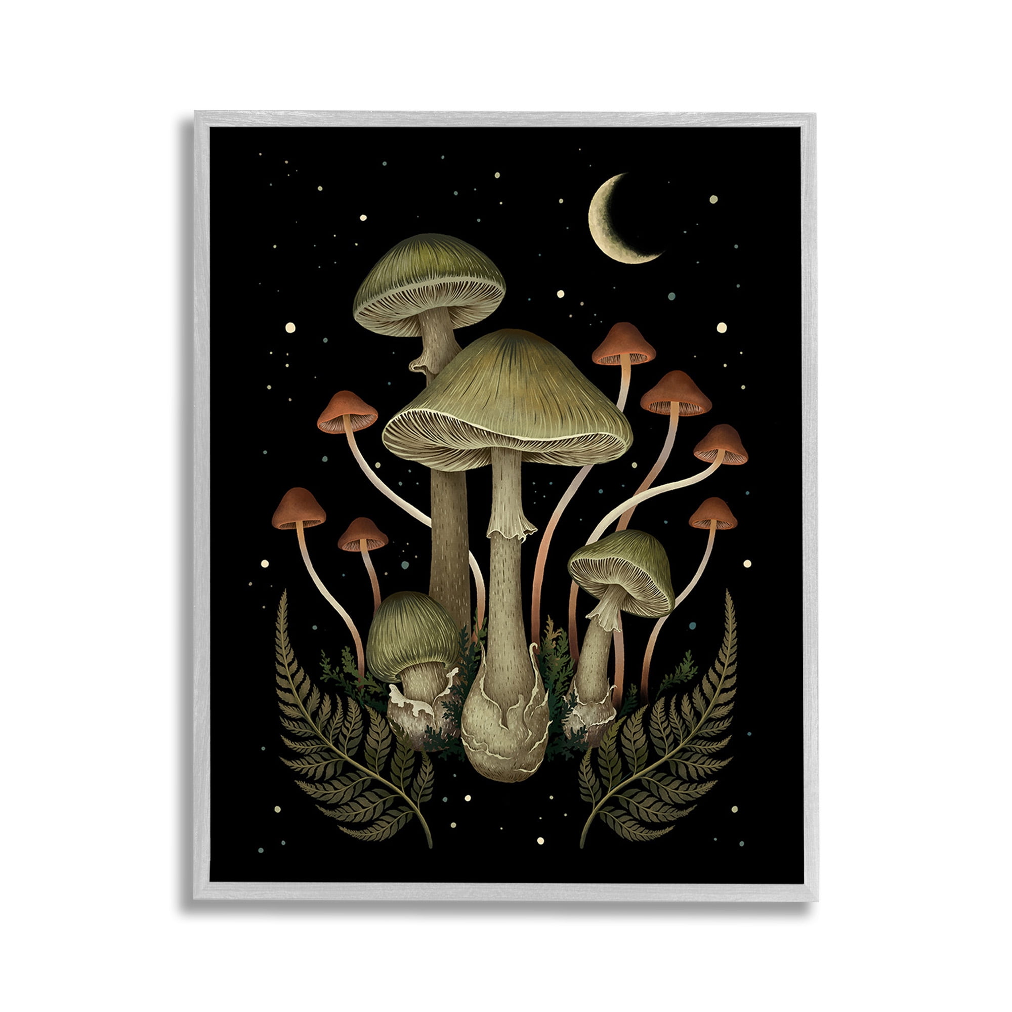 Stupell Industries Night Mushrooms & Ferns Botanical & Floral Painting Gray Framed Art Print Wall Art, 11 x 14