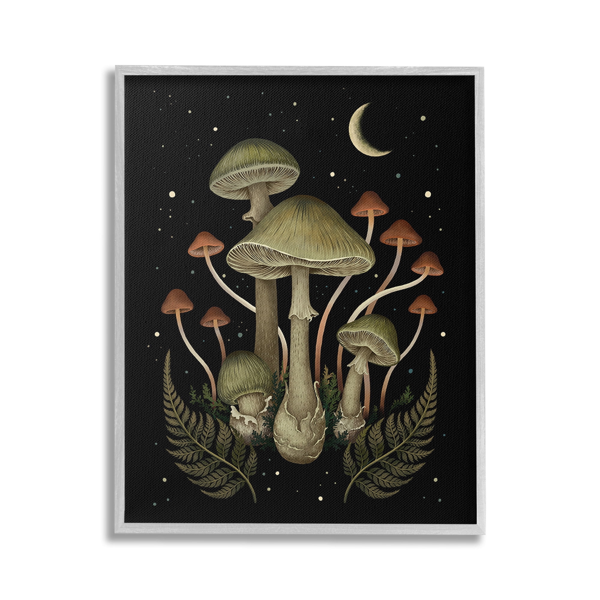Stupell Industries Night Mushrooms & Ferns Botanical & Floral Painting Gray Framed Art Print Wall Art, 16 x 20